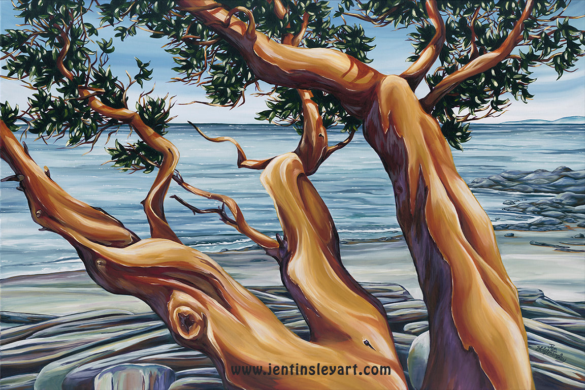 Arbutus, tree, giclee, print, Vancouver island, ocean painting, painting, print, bc painting, arbutus by the ocean, Jen Tinsley